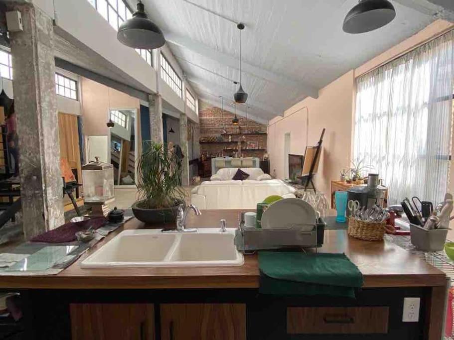 Loft Condesa * Mexico City